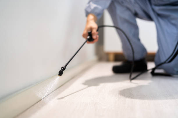 Licensed Fumigation Services service in Harbison Canyon, CA - Nex Pest Control