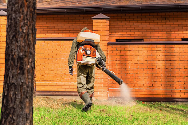 Trusted Fumigation Services service in Harbison Canyon, CA - Nex Pest Control